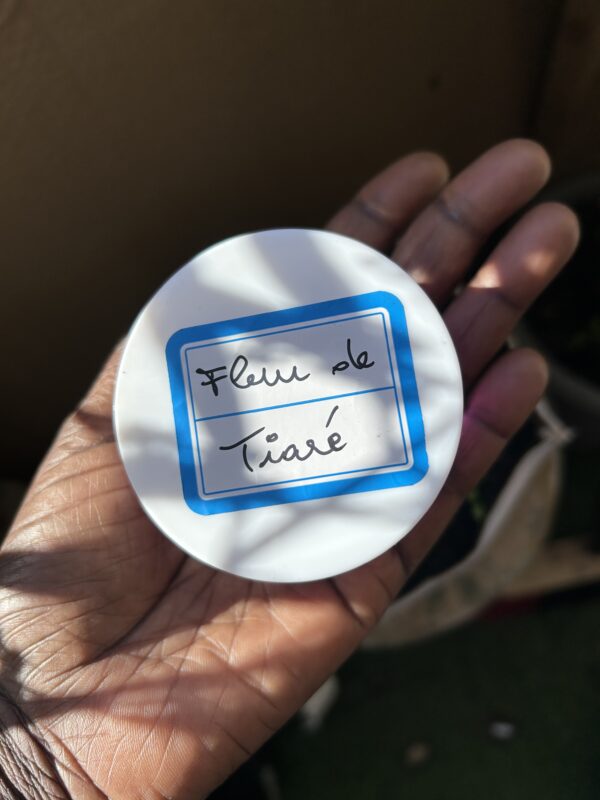 Fleur de tiaré – Image 2